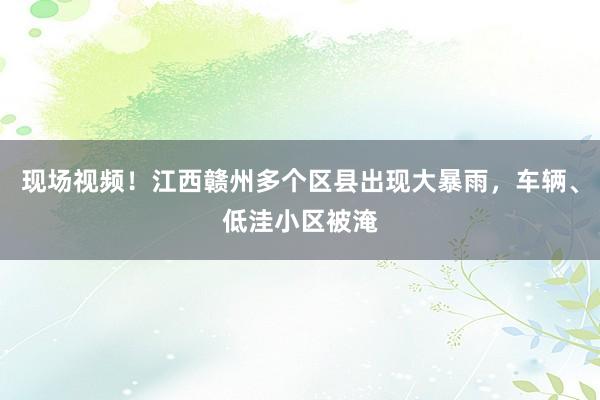 现场视频！江西赣州多个区县出现大暴雨，车辆、低洼小区被淹