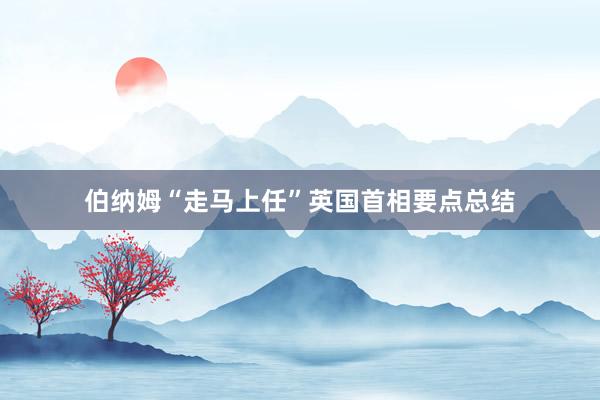 伯纳姆“走马上任”英国首相要点总结