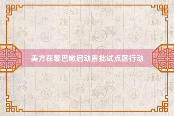 美方在黎巴嫩启动首批试点区行动