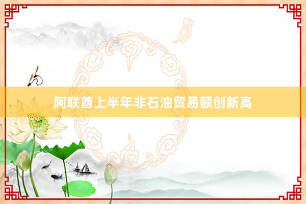 阿联酋上半年非石油贸易额创新高